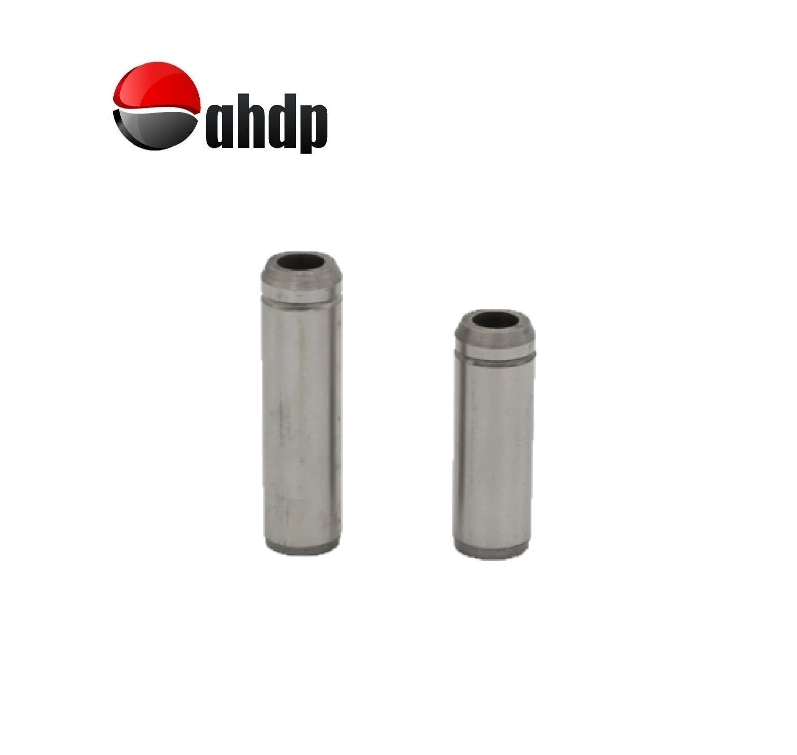 VALVE GUIDE SET IN+EX LOMBARDINI - LI014841174, LI014841172